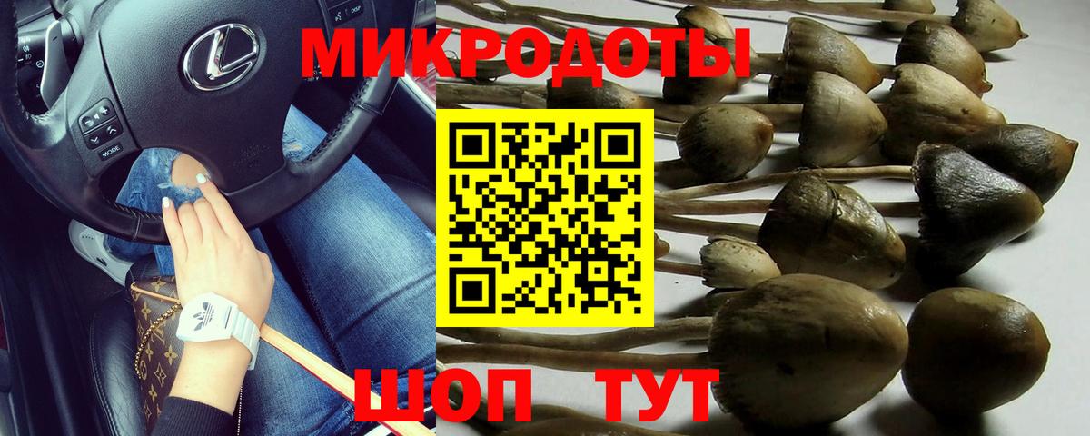 купить  сайты  Вход с VPN  Жигулёвск  Псилоцибиновые грибы Cubensis 